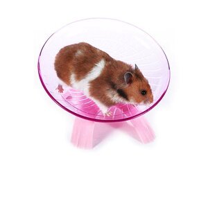 ybgpi nX^[ 񂵎  ߋ  XgX nX^[zC[ P[WANZT[ tCO\[T[񂵎 ^s  Vя V zC[(sN)