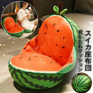 zc XCJ ی^ NbV ʂ XCJ   ܂ CeA G X v[g 蕨 j 40*60cm