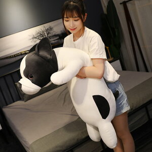 Ck ʂ   YQ ܂   ̂ʂ NbV   ӂӂ  CeA ޏ ǂ a v[g S100cm