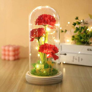  vU[uht[ J[l[V i ỉ ԑ ͂Ȃ Mtg [Y v[g KX|bg LEDCgt Ǝ ̓ l j  ޏ LO 