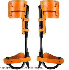 ؓo蓹 oRp̌C  ؓo ɓoRXpCN ʕI ړI 304XeX| ގ ϗp ȊwfUC ω׏d |[^u gpȒP ώ@ oRȂǂɓKpؓo ؓo