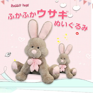 ETM ʂ݂ Dj\  e ʂ 傫 ʂ ӂӂ NbV 킢  킢 IV CeA@50cm q a NX