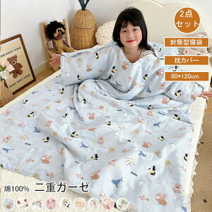 Q Jo[t zc dK[[ |zc ĕzc zc J[[Pbg 100 ėp ^ ˂Ԃ K _炩 ʋC 􂦂 [ܕt j̎q ̎q ۈ牀 ct Q 