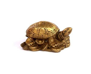 ^F̋T ObY   J^ObY ACe u 蕨 Abv