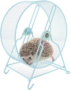 サイレントホイール 小動物用玩具 丈夫で安全 ゴールデンハムスター ハムスターボール 運動不足解消 となりのトトロハリネズミが足リスの輪を握っていない (32cm, ブルー)