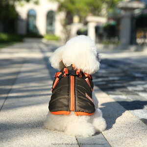   WPbg hbOEFA n[lX h  ̕ EFA WPbg n[lX̌^Wp[ R[g ȓ {A ybgEFA ybgpi ^ ^ ~ H~ 