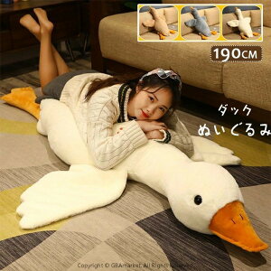 F@ʂ Aq@_bN 190cm Aq@_bN@v[g 蕨 傫 o^Cf[ a  JCC @NX}X v[g nX^[ ˂ 