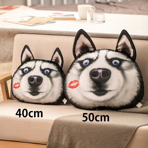  40cm ʂ S6fUC nXL[ NbV CeA husky  ֎qp w  ӂӂŖ _炩 Sn NX}Xv[g Mtg ɑ΍ w