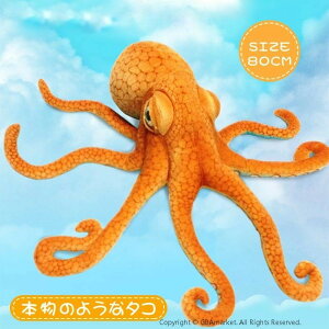 ʂ ^R { A nEB LbY q nEB HALLOWEEN Cm NX}X a v[g  傫TCY ^ J[pi ԗpi h CeA Aj} 