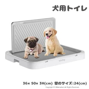 gC ^ bV g[Ch p g[jO g[ hbOg[ ybggC  O |N ǕtgC (zCg)