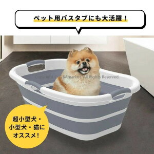 ペット バスタブ 折りたたみ式 ペットバスタブ ランドリー たらい ペット用バスタブ 折り畳み 折りたたみ バスケット 猫 犬 軽量 丈夫 ペット キャリー ねこ ネコ アウトドア 釣り コンパク