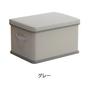 BOX [{bNX ߗރP[X ReiP[X ӂt ֗ 傫 dȂ  ՂgȒP Rei N[bg ۊǃ{bNX [P[X e  z  ߑւ ς