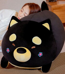 y40cmz ʂ S2J[   VoCk Č NbV CeA q  ޏ ӂӂŖ  NVo 傫  _炩 Sn v[