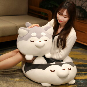 y50cmz ʂ S3J[ nXL[ Ԏ  傫  NbV CeA q    v[g ޏ husky Č VoCk AJVo ӂӂŖ