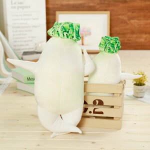 卪  ZNV[卪 NbV  ₵ A 卪 ʂ ObY CeA a NX}X v[g 95cm