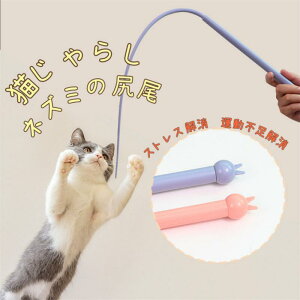 [ L炵 L lY~Ǩ`L̂炵 2color ^sƃXgX SVR ˂ߋ    L̂D݂炵 lY~̐K Lp ނ L