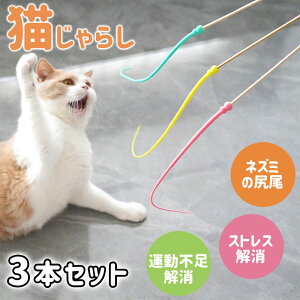 L炵 L̊ߋ XgX L lY~̂ 3F y VR@fވSVR ˂ߋ    L̂D݂炵 lY~̐K Lp ނ L