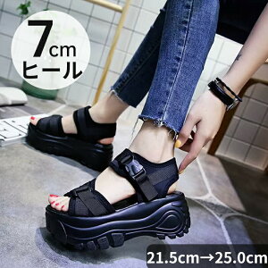 T_ T_ fB[X T_ 7cmq[ y ₷ RtH[g V[Y X|[cT_ 傫TCY Ռz ʋC C xN Xj[J[ t  AEghA s