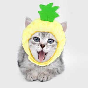  ybgXq nEB Halloween pC   Lnbg ybgpRXv EȒP L pCAbv pCibv pineapple@ L[g hbOEFA ʔ Be