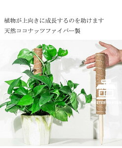 3{Zbg RRXeBbN Xe x  A x |gX x \  ϋv RRibc |x |gX Ax Ԃ A  ؐ 鐫A RRibcx