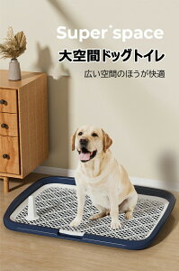 pgC ybggC ^ ybg bV gC pgCg[ ~ ybgpi gC 65cm×50cm ̃gC g[jO ȒP R }[LO|[t