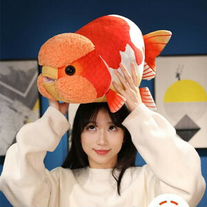 V S5F ь 50cm 񂿂  ʂ  a  `E ̂܂ YQ   _炩 킢 {  OF G u V Ce