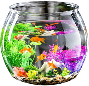   vX`bN AN vX`bN  _J   ANAE 