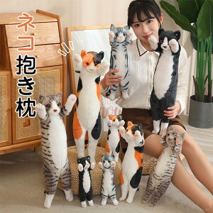  ܂ ˂ʂ 킢 L ˂ ʂ L̂ʂ lR NbV   Aj} Q  lRD 킩 v[g a LObY C