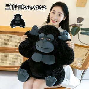 ʂ S  JbR D  T   ʐ^ 蕨 Mtg q a v[g j 蕨 27cm/38cm/50cm