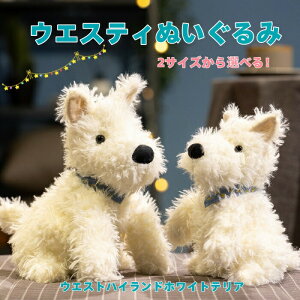 EGXeBEzCgeA ʂ 20Z`A24Z`2TCYIׂ ӂӂȃfUC 킢Ou[̃o_it mߋ ȂqlɍœK 낢