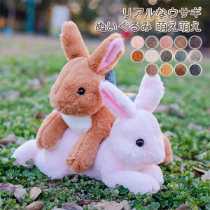 ETM A  rbg ʂ  tt ӂ   ETMʂ  CeA v[g Mtg 蕨 LbY qǂ a NX}X j 35cm