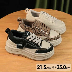 Xj[J[  X|[eB TCY V[Y fB[X C r  Xj[J[ 킢   JWA ₷ ɂ Vv   ba007n1n1lc