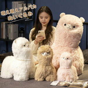 AvpJ ʂ 킢D   Aj}   ӂӂ ApJ ObY G X CeA a Mtg v[g蕨 3FI 40cm