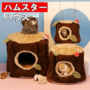 nX^[ nEX  bg_炩  nX^[ nlY~  ETMt Q Q A h[^ 􂦂 z xbh h  ΍ ~p g v[