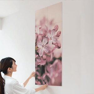 LIXIL INAX / GRJbgvX S ȒPDIY }Olbg{H GRJbgZt TCY2 9090Zbg/1260Zbg ECSF-9090S/301 ECSF-1260S/301 ECSF-9090M/301 ECSF-1260M/301  ͗lւ