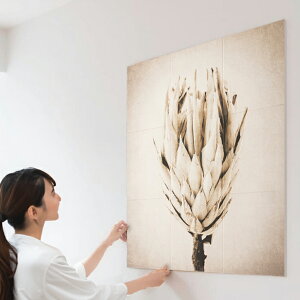 LIXIL INAX / GRJbgvX S ȒPDIY }Olbg{H GRJbgZt TCY2 9090Zbg/1260Zbg ECSF-9090S/117 ECSF-1260S/117 ECSF-9090M/117 ECSF-1260M/117  ͗lւ