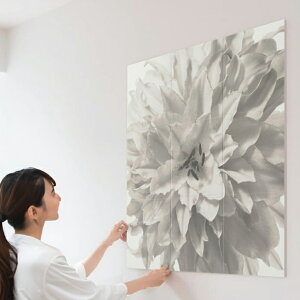 LIXIL INAX / GRJbgvX S ȒPDIY }Olbg{H GRJbgZt TCY2 9090Zbg/1260Zbg ECSF-9090S/14 ECSF-1260S/14 ECSF-9090M/14 ECSF-1260M/14  ͗lւ