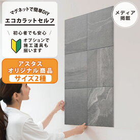 LIXIL INAX / アスタスオリジナル商品 エコカラットプラス 初心者 簡単DIY マグネット施工 エコカラットセルフ 9060セット ECSF-9060S/AST おしゃれ 模様替え