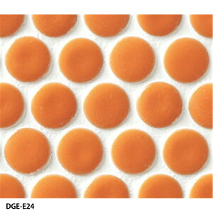 ^C(P[X) hWF Dragee 10ێ\ 34V[g DGE-A3`DGE-E30 / ÉUCN A[gUCN^C