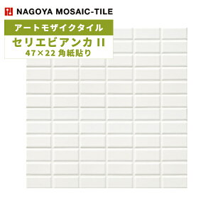 ^C(P[X) ZGrAJII Serie BiancaII 47×22p\ 25V[g ASB-4722-B1 / ÉUCN A[gUCN^C