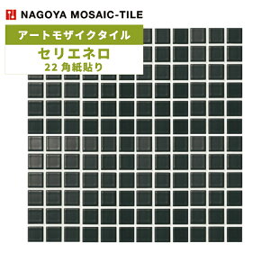 ^C(P[X) ZGl Serie Nero 22p\ 25V[g ASB-2222-K1 / ÉUCN A[gUCN^C