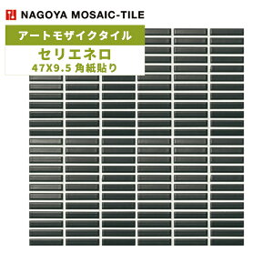 ^C(P[X) ZGl Serie Nero 47X9.5p\ 25V[g ASB-4795-K1 / ÉUCN A[gUCN^C