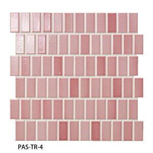 ÉUCN / ^C(P[X) pXeB[ Pastilles 47×22p\(cK\) 25V[g PAS-TR-1 PAS-TR-2 PAS-TR-3 PAS-TR-4 PAS-TR-5 PAS-TR-6 A[gUCN^C