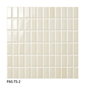 ÉUCN / ^C(P[X) pXeB[ Pastilles 47×22p\(cX_\) 25V[g PAS-TS-1 PAS-TS-2 PAS-TS-3 PAS-TS-4 PAS-TS-5 PAS-TS-6 A[gUCN^C