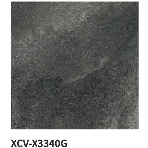 ���É����U�C�N / ���f�l�[�[ Modenese 600�p�e�� 3���� XCV-X3300G XCV-X3310G XCV-X3320G XCV-X3340G �O�����^�C��(�P�[�X)