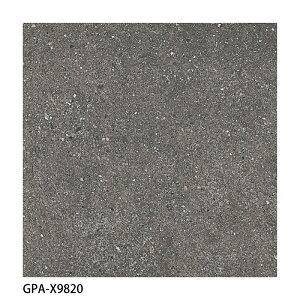 ÉUCN / weBbT Gentileza 600p 4 GPA-X9810 GPA-X9820 ^C(P[X)