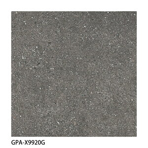 ÉUCN / weBbT Gentileza 600pe 4 GPA-X9910G GPA-X9920G O^C(P[X)