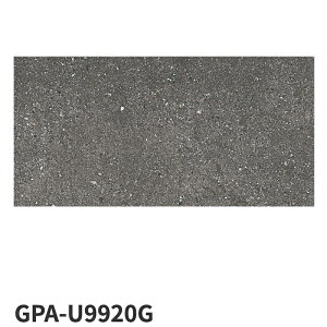 ÉUCN / ^C(P[X) weBbT Gentileza 600×300pe 6 GPA-U9910G GPA-U9920G O