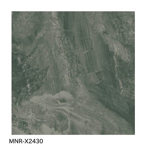 ÉUCN / gXJNX TOSCANLUXE 600p 4 MNR-X2410 MNR-X2420 MNR-X2430 ^C(P[X)