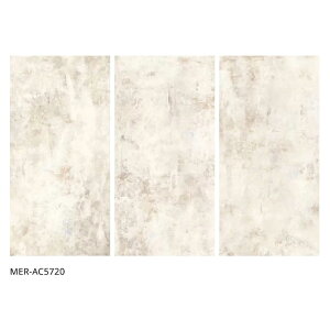 ÉUCN / ObV GLACIS 1200×600p 2 MER-AC5710 MER-AC5720 MER-AC5730 MER-AC5740 MER-AC5750 CREATIVE TILE ^C(P[X)